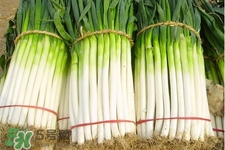 长期不用洗面奶好吗(长期不用洗面奶好吗)