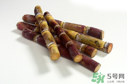 烤甘蔗的功效和作用(烤甘蔗的功效和作用是什么)