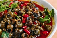 什么人不能吃田螺(什么人不能吃田螺)