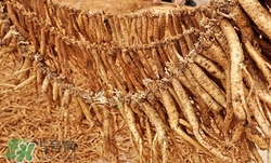 党参适宜人群(党参适宜人群)