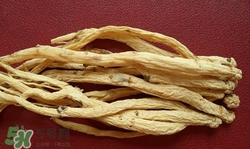 雅诗兰黛肌初赋活原生液精华水油腻吗(雅诗兰黛肌初赋活原生液是水还是精华)