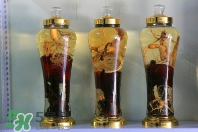 灵芝推荐食用方法(灵芝最佳食用方法)