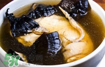 灵芝泡水喝有什么功效(灵芝泡水喝有什么功效和作用)