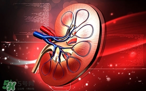 一叶子白玉兰提亮补水乳适合什么年龄(一叶子白玉兰提亮补水霜怎么样)