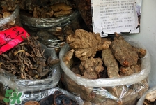 老人、小孩、孕妇服用注意(老人小儿孕妇禁忌的药物)