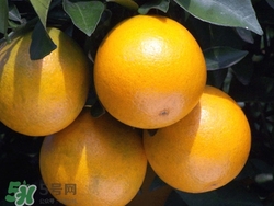 功效作用分析(功效及作用) 功效作用分析(功效及作用)