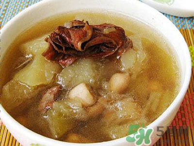 天麻当归鱼头汤(天麻当归鱼头汤的做法)