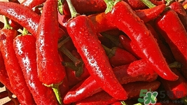 辣椒呛到气管怎么办(吃饭辣椒呛到气管怎么办)