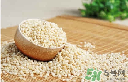 高粱猪肚粥(高粱猪肚粥)