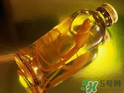 西洋参泡酒有什么功效(人参泡酒有啥功效)