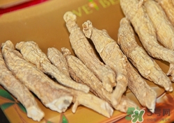 什么时候使用兰蔻小黑瓶好(兰蔻小黑瓶什么时候用比较好)