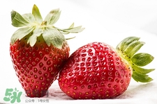 草莓的食用禁忌(草莓的食用禁忌)