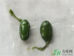 用纯牛奶洗脸的弊端(用纯牛奶洗脸有什么坏处)