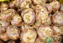 丝塔芙大白罐身体乳怎么样(丝塔芙大白罐身体乳怎么样) 丝塔芙大白罐身体乳怎么样(丝塔芙大白罐身体乳怎么样)