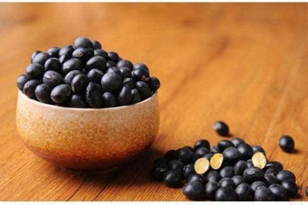 黑豆发芽了还能吃吗(泡的黑豆发芽了还能吃吗)