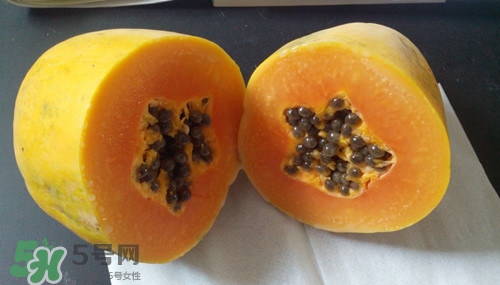 木瓜籽功效(木瓜籽功效作用和主治) 木瓜籽功效(木瓜籽功效作用和主治)