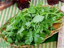 和香菜相克的食物(和香菜相克的食物都有哪些) 和香菜相克的食物(和香菜相克的食物都有哪些)