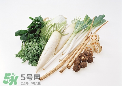 萝卜蒂的功效和作用(萝卜的功能和功效和作用)