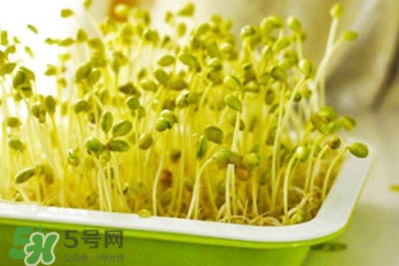 韩熙贞素颜霜好用吗(韩熙贞素颜霜怎么样)