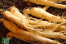 西洋参的几种服用方法(西洋参的服用方法是什么) 西洋参的几种服用方法(西洋参的服用方法是什么)