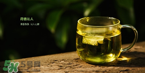 荷叶茶减肥不适人群:(荷叶茶能减肥不)