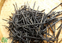 苦丁茶的作用(苦丁茶的作用和功效)