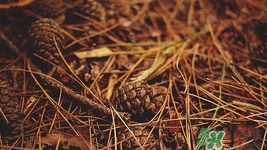 磨砂膏按摩时间不宜过长(磨砂膏按摩多久就可以洗掉了)