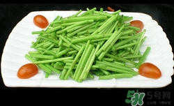 芦蒿叶子的功效(芦蒿叶子的功效和作用)