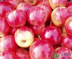 沙果孕妇能吃吗(沙果孕妇能吃吗)