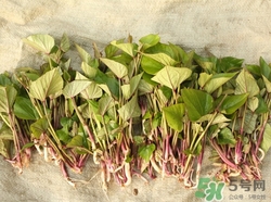 用什么温度水洗脸最好(用什么温度的水洗脸最好)