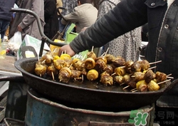 毛蛋的营养价值(毛蛋的营养价值及功效和作用)