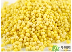 尔木萄舒悦b5玻尿酸原液怎么用(b5玻尿酸原液的功效)