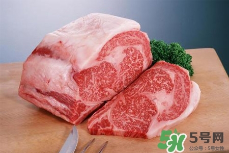 生肉或未熟的肉不能直接吃(熟成肉可以直接吃吗)