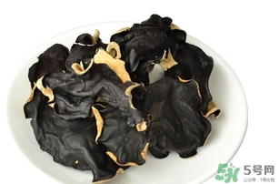 毛木耳和木耳的区别(毛木耳和木耳的区别)