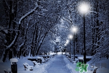 美蒂菲拉丝颈霜怎么样(美蒂菲颈霜有用吗)