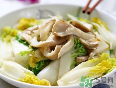 凤尾菇怎么吃(凤尾菇怎么种植)