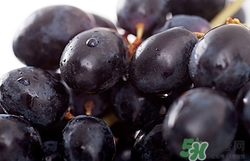 黑提的营养价值(黑提的营养价值及功效和作用)