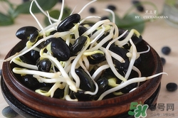 黑豆芽的营养价值(黑豆芽的营养价值及功效和作用) 黑豆芽的营养价值(黑豆芽的营养价值及功效和作用)