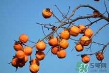 希思黎全能乳液好用吗(希思黎全能乳液好用吗多少钱)