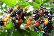 补水仪的正确使用方法(纳米补水仪的正确使用方法) 补水仪的正确使用方法(纳米补水仪的正确使用方法)