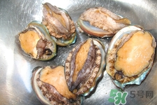 鲍鱼功效和作用(鲍鱼和海参营养功效和作用)