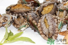 鲍鱼哪些部位不能吃(鲍鱼哪些部位不能吃图) 鲍鱼哪些部位不能吃(鲍鱼哪些部位不能吃图)