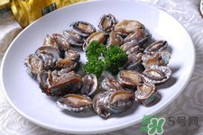 鲍鱼的营养价值(鲍鱼的营养价值及功效和作用)