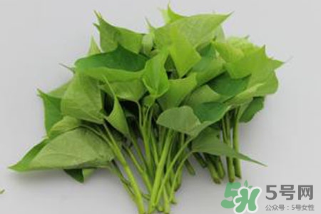 红薯叶是什么(红薯叶是什么季节的食物)