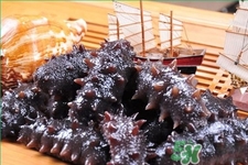 鲜海参和干海参的营养区别(鲜海参和干海参哪个更有营养)