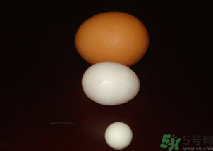 鸽子蛋的食用价值(鸽子蛋的食用价值)