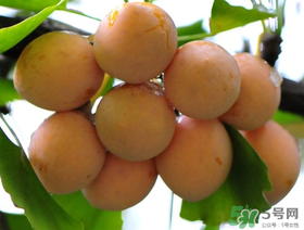 吃什么容易过敏(吃什么容易过敏起疙瘩)