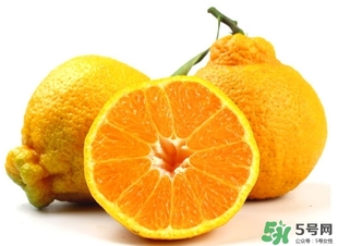 丑橘的功效和作用(丑橘的功效和作用是什么) 丑橘的功效和作用(丑橘的功效和作用是什么)