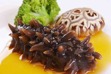 海参能和水果一起吃吗(吃海参能吃水果吗)