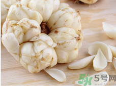 百合的品种有哪些(百合的品种有哪些)